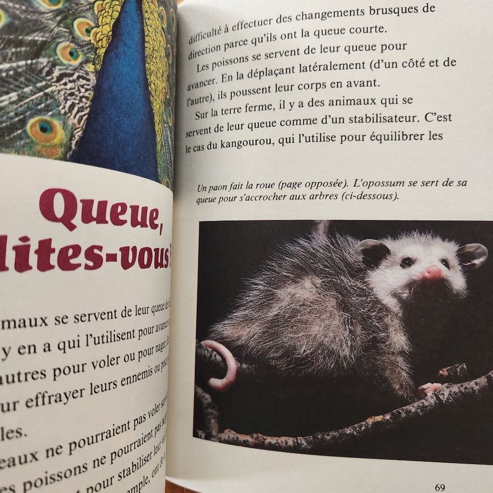 📚 DISNEY vintage books - Picture 9 of 10
